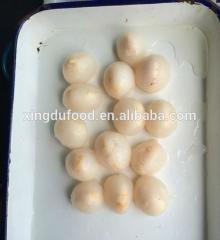 Special for 567g canned fruit lychee in syrup