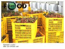 2013 crop Canned Lychees Top quality lychee in tin 567g 850g canned lychee fruit in syrup
