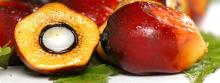 RBD PALM OIL