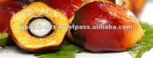 Palm Cooking Oil
