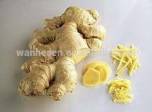 bulk fresh ginger, Chinese Ginger