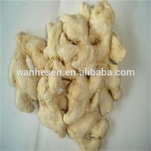 2014New crop dried ginger