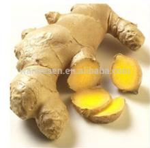 Bio  fresh   dried   ginger 