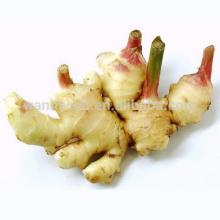Good quality fresh Ginger