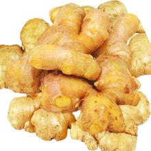 2014 chinese fresh mature ginger 200g with low price
