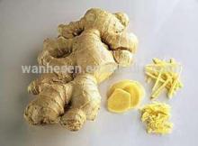 wholesale fresh ginger price in china market,ginger health  benefit s
