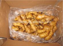 market prices for New Crop Fresh ginger, best selling ginger, wholesale ginger