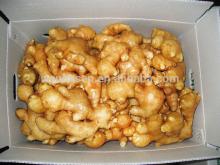 new crop good quality fresh ginger,2014 hot sale new arrival fresh ginger from china,export fresh gi