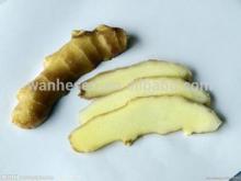 China wholesale top quality fresh ginger rich in vitamin c