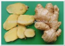Shandong price of fresh ginger from ginger exporter