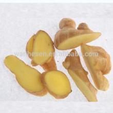  bulk   fresh   ginger  from shandong,  ginger  market in China