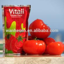  tomato   paste  in  sachet 