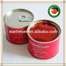 hot sell tomato paste, tomato paste plant