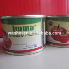 Xinjiang Origin tomato paste plant tomato paste