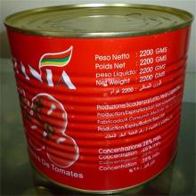 Canned Tomato Paste 2200G