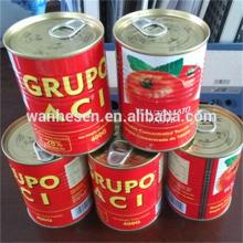 400g canned tomato paste factory