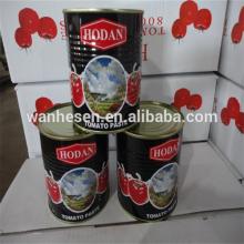 800g bulk supply China tomato paste