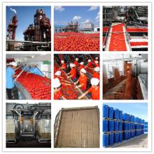 400g Tomato  Ketchup  (2014 hot sale item)