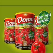 Domo Purest Tomato Paste, 100% without additives, Turkish production