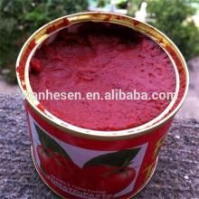 800g canned tomato ketdhup brand 28-30% brix