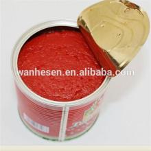 Hot selling canned tomato ketchup