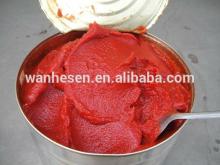 high quality and best price Tomato Paste In Drum