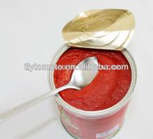 canned tomato paste, manufacturer of bulk 28-30% tomato paste cold break,