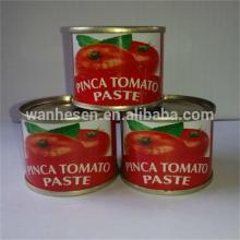 manufacturer of bulk tomato paste cold break, canned tomato paste