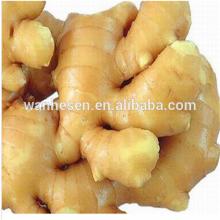 Chinese Fresh ginger