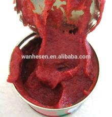 High quality 2200g tomato paste exporter in China