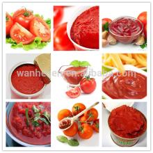 best tomato paste price with tin packing concentrate