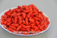  2013   new   crop  Ningxia nutrition & regimen dried  goji   berry 