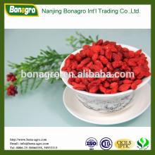 provide nutrition & regimen Ningxia dried goji berry