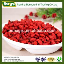 new crop NingXia Goji Berry Dried 100%sweet good for health
