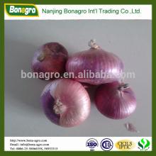 bulk red onion