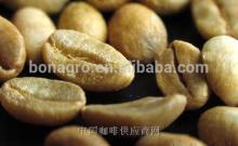  Yunnan   Arabica   Coffee   Bean  Grade AA