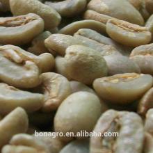 Chinese whole Coffee Bean from Yunnan