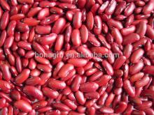 dried dark red kidney bean