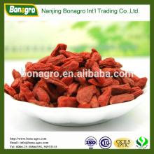 provide Ningxia nutrition & regimen dried goji berry -H.P.S