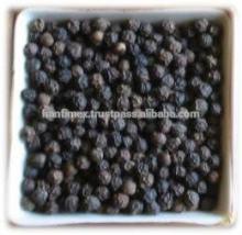 VIETNAM BLACK PEPPER 550G/L top price