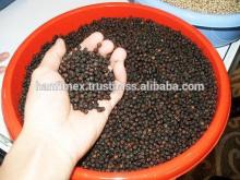VIetnam black pepper 500 gr/l for food