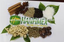 Vietnam spices herbs/ BLACK PEPPER/ CASSIA/STAR ANISE FOR SALES