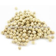 Vietnam white pepper ground , organic white pepper