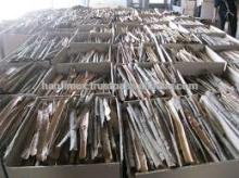 CASSIA CINNAMON GOOD PRICE