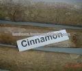 Vietnam TUBE CINNAMON Grade A B C good price