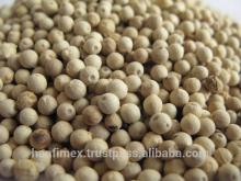 NATIVE SPICE WHITE PEPPER 630GL