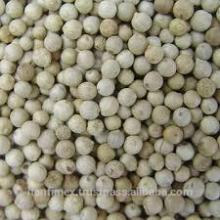 DRIED STYLE BEANS WHITE PEPPER VIETNAM