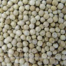 PEPPER BEANS WHITE PEPPER FROM VIETNAM
