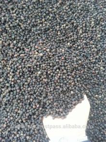 Black Pepper Specifications Black Pepper 570gl