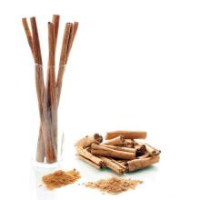 CASSIA CINNAMON from Vietnam with high quality